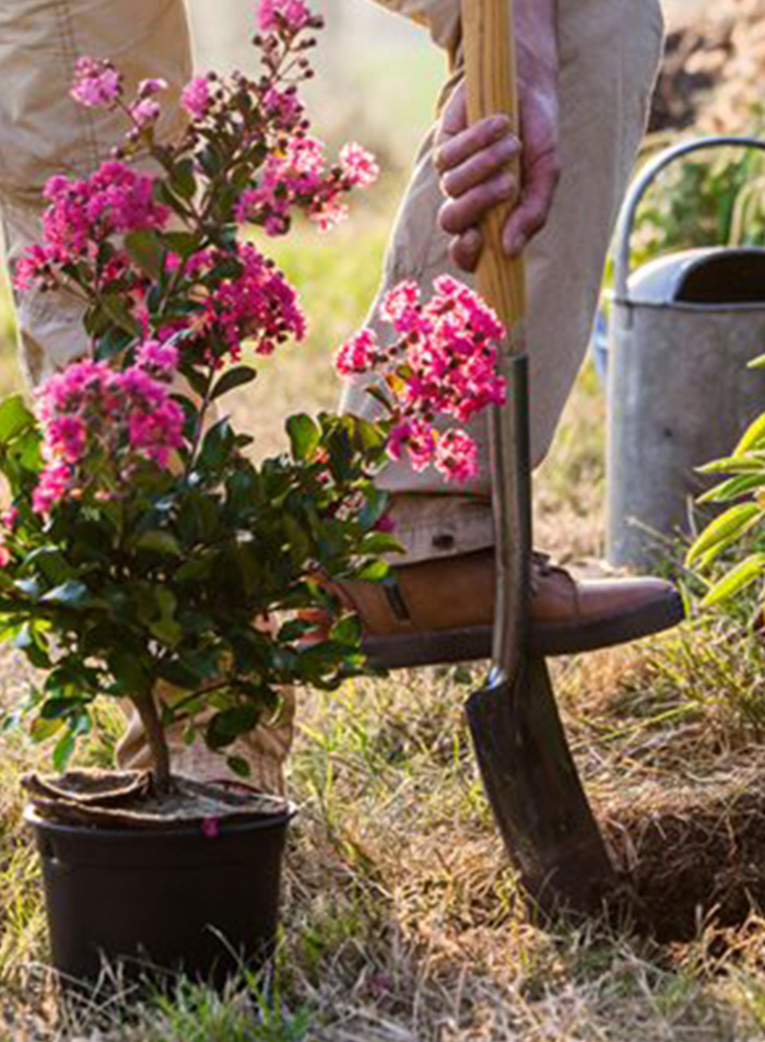 <a style="color: #000000;" href="https://your-websites.info/general-gardening-melbourne/">General Gardening</a>