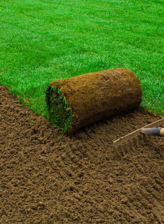 <a style="color: #000000;" href="https://your-websites.info/turf-installation/">Turf Installation</a>